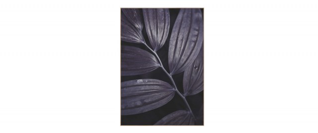 Dark Plant 3 διακοσμητικός πίνακας